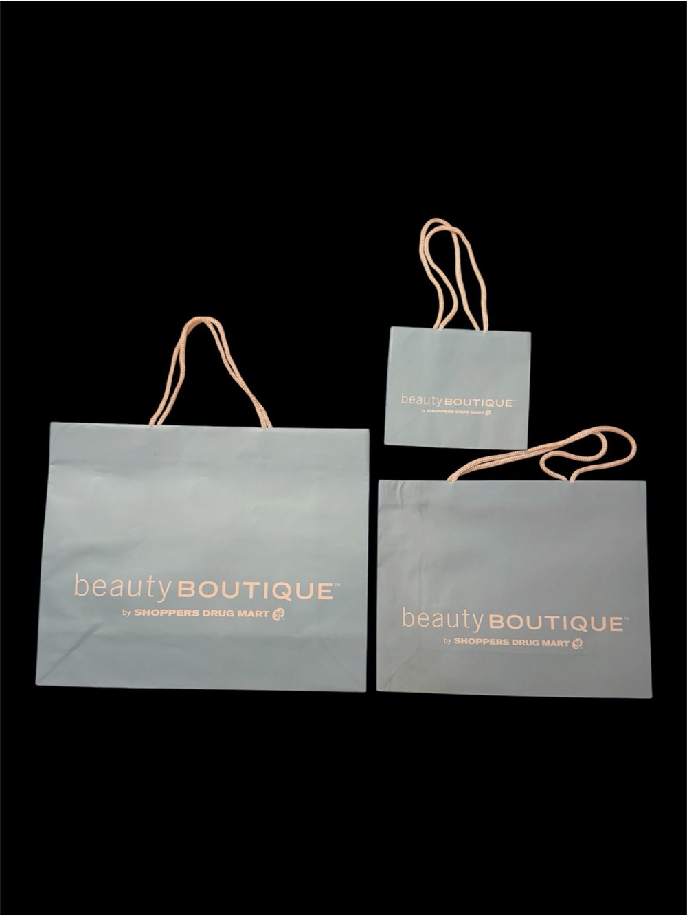 Beauty Boutique Light Blue Paper Shopping Bags Large Medium Small